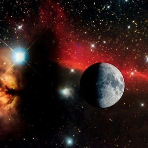 Meet your Posher, Fredy